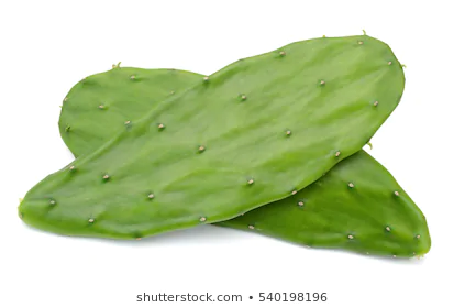 http://www.elsolbrands.com/wp-content/uploads/2017/09/Cactus-leaf-Nopal.webp